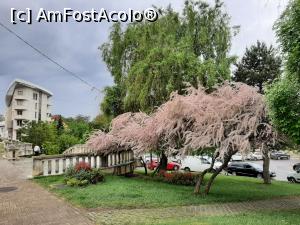 [P17] Vedere spre Fundație » foto by adso
 - 
<span class="allrVoted glyphicon glyphicon-heart hidden" id="av1227865"></span>
<a class="m-l-10 hidden" id="sv1227865" onclick="voting_Foto_DelVot(,1227865,8128)" role="button">șterge vot <span class="glyphicon glyphicon-remove"></span></a>
<a id="v91227865" class=" c-red"  onclick="voting_Foto_SetVot(1227865)" role="button"><span class="glyphicon glyphicon-heart-empty"></span> <b>LIKE</b> = Votează poza</a> <img class="hidden"  id="f1227865W9" src="/imagini/loader.gif" border="0" /><span class="AjErrMes hidden" id="e1227865ErM"></span>