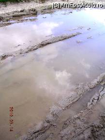 [P19] Nori oglindiţi în baltă. » foto by abbilbal*
 - 
<span class="allrVoted glyphicon glyphicon-heart hidden" id="av96982"></span>
<a class="m-l-10 hidden" id="sv96982" onclick="voting_Foto_DelVot(,96982,8128)" role="button">șterge vot <span class="glyphicon glyphicon-remove"></span></a>
<a id="v996982" class=" c-red"  onclick="voting_Foto_SetVot(96982)" role="button"><span class="glyphicon glyphicon-heart-empty"></span> <b>LIKE</b> = Votează poza</a> <img class="hidden"  id="f96982W9" src="/imagini/loader.gif" border="0" /><span class="AjErrMes hidden" id="e96982ErM"></span>