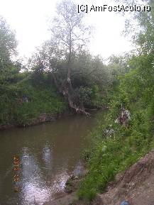 [P20] Alte urme ale aceleiaşi viituri. » foto by abbilbal*
 - 
<span class="allrVoted glyphicon glyphicon-heart hidden" id="av96983"></span>
<a class="m-l-10 hidden" id="sv96983" onclick="voting_Foto_DelVot(,96983,8128)" role="button">șterge vot <span class="glyphicon glyphicon-remove"></span></a>
<a id="v996983" class=" c-red"  onclick="voting_Foto_SetVot(96983)" role="button"><span class="glyphicon glyphicon-heart-empty"></span> <b>LIKE</b> = Votează poza</a> <img class="hidden"  id="f96983W9" src="/imagini/loader.gif" border="0" /><span class="AjErrMes hidden" id="e96983ErM"></span>