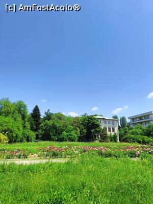 [P01] Grădina Botanică &bdquo;Prof. Dr. Doc. I. Todor&rdquo; - o parte din parcela cu bujori. » foto by tata123 🔱
 - 
<span class="allrVoted glyphicon glyphicon-heart hidden" id="av1366807"></span>
<a class="m-l-10 hidden" id="sv1366807" onclick="voting_Foto_DelVot(,1366807,8128)" role="button">șterge vot <span class="glyphicon glyphicon-remove"></span></a>
<a id="v91366807" class=" c-red"  onclick="voting_Foto_SetVot(1366807)" role="button"><span class="glyphicon glyphicon-heart-empty"></span> <b>LIKE</b> = Votează poza</a> <img class="hidden"  id="f1366807W9" src="/imagini/loader.gif" border="0" /><span class="AjErrMes hidden" id="e1366807ErM"></span>