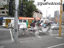 [P04] cu trsura prin oras » foto by grecudoina
 - 
<span class="allrVoted glyphicon glyphicon-heart hidden" id="av279434"></span>
<a class="m-l-10 hidden" id="sv279434" onclick="voting_Foto_DelVot(,279434,8157)" role="button">șterge vot <span class="glyphicon glyphicon-remove"></span></a>
<a id="v9279434" class=" c-red"  onclick="voting_Foto_SetVot(279434)" role="button"><span class="glyphicon glyphicon-heart-empty"></span> <b>LIKE</b> = Votează poza</a> <img class="hidden"  id="f279434W9" src="/imagini/loader.gif" border="0" /><span class="AjErrMes hidden" id="e279434ErM"></span>