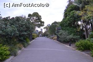 [P45] Grădina botanică Melbourne » foto by AZE
 - 
<span class="allrVoted glyphicon glyphicon-heart hidden" id="av1372425"></span>
<a class="m-l-10 hidden" id="sv1372425" onclick="voting_Foto_DelVot(,1372425,8157)" role="button">șterge vot <span class="glyphicon glyphicon-remove"></span></a>
<a id="v91372425" class=" c-red"  onclick="voting_Foto_SetVot(1372425)" role="button"><span class="glyphicon glyphicon-heart-empty"></span> <b>LIKE</b> = Votează poza</a> <img class="hidden"  id="f1372425W9" src="/imagini/loader.gif" border="0" /><span class="AjErrMes hidden" id="e1372425ErM"></span>