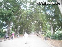 [P36] parcul catedralei sf. Andrei » foto by grecudoina
 - 
<span class="allrVoted glyphicon glyphicon-heart hidden" id="av276175"></span>
<a class="m-l-10 hidden" id="sv276175" onclick="voting_Foto_DelVot(,276175,8165)" role="button">șterge vot <span class="glyphicon glyphicon-remove"></span></a>
<a id="v9276175" class=" c-red"  onclick="voting_Foto_SetVot(276175)" role="button"><span class="glyphicon glyphicon-heart-empty"></span> <b>LIKE</b> = Votează poza</a> <img class="hidden"  id="f276175W9" src="/imagini/loader.gif" border="0" /><span class="AjErrMes hidden" id="e276175ErM"></span>