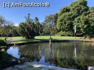 [P28] Grădina botanică Sydney » foto by AZE
 - 
<span class="allrVoted glyphicon glyphicon-heart hidden" id="av1388895"></span>
<a class="m-l-10 hidden" id="sv1388895" onclick="voting_Foto_DelVot(,1388895,8165)" role="button">șterge vot <span class="glyphicon glyphicon-remove"></span></a>
<a id="v91388895" class=" c-red"  onclick="voting_Foto_SetVot(1388895)" role="button"><span class="glyphicon glyphicon-heart-empty"></span> <b>LIKE</b> = Votează poza</a> <img class="hidden"  id="f1388895W9" src="/imagini/loader.gif" border="0" /><span class="AjErrMes hidden" id="e1388895ErM"></span>