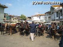 [P05] Statia de taxiuri :-)) » foto by lizuk
 - 
<span class="allrVoted glyphicon glyphicon-heart hidden" id="av29371"></span>
<a class="m-l-10 hidden" id="sv29371" onclick="voting_Foto_DelVot(,29371,8221)" role="button">șterge vot <span class="glyphicon glyphicon-remove"></span></a>
<a id="v929371" class=" c-red"  onclick="voting_Foto_SetVot(29371)" role="button"><span class="glyphicon glyphicon-heart-empty"></span> <b>LIKE</b> = Votează poza</a> <img class="hidden"  id="f29371W9" src="/imagini/loader.gif" border="0" /><span class="AjErrMes hidden" id="e29371ErM"></span>