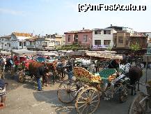 [P06]  -- <small>// FĂRĂ DESCRIERE</small> » foto by lizuk
 - 
<span class="allrVoted glyphicon glyphicon-heart hidden" id="av29372"></span>
<a class="m-l-10 hidden" id="sv29372" onclick="voting_Foto_DelVot(,29372,8221)" role="button">șterge vot <span class="glyphicon glyphicon-remove"></span></a>
<a id="v929372" class=" c-red"  onclick="voting_Foto_SetVot(29372)" role="button"><span class="glyphicon glyphicon-heart-empty"></span> <b>LIKE</b> = Votează poza</a> <img class="hidden"  id="f29372W9" src="/imagini/loader.gif" border="0" /><span class="AjErrMes hidden" id="e29372ErM"></span>