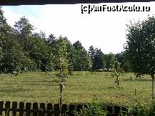 [P06] Aceasta pajiste o vedeam in fata pensiunii, vila noastra fiind prima din şirul vilelor tip Nagy Lak III-VII - iunie 2013 » foto by adry24
 - 
<span class="allrVoted glyphicon glyphicon-heart hidden" id="av494824"></span>
<a class="m-l-10 hidden" id="sv494824" onclick="voting_Foto_DelVot(,494824,8257)" role="button">șterge vot <span class="glyphicon glyphicon-remove"></span></a>
<a id="v9494824" class=" c-red"  onclick="voting_Foto_SetVot(494824)" role="button"><span class="glyphicon glyphicon-heart-empty"></span> <b>LIKE</b> = Votează poza</a> <img class="hidden"  id="f494824W9" src="/imagini/loader.gif" border="0" /><span class="AjErrMes hidden" id="e494824ErM"></span>