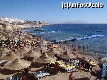 [P14] Poza de pe plaja » foto by bogdansenior
 - 
<span class="allrVoted glyphicon glyphicon-heart hidden" id="av179476"></span>
<a class="m-l-10 hidden" id="sv179476" onclick="voting_Foto_DelVot(,179476,8284)" role="button">șterge vot <span class="glyphicon glyphicon-remove"></span></a>
<a id="v9179476" class=" c-red"  onclick="voting_Foto_SetVot(179476)" role="button"><span class="glyphicon glyphicon-heart-empty"></span> <b>LIKE</b> = Votează poza</a> <img class="hidden"  id="f179476W9" src="/imagini/loader.gif" border="0" /><span class="AjErrMes hidden" id="e179476ErM"></span>