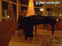 [P19] Nassef , unul dintre pianisti care canta in fiecare seara la resaturant » foto by bogdansenior
 - 
<span class="allrVoted glyphicon glyphicon-heart hidden" id="av179484"></span>
<a class="m-l-10 hidden" id="sv179484" onclick="voting_Foto_DelVot(,179484,8284)" role="button">șterge vot <span class="glyphicon glyphicon-remove"></span></a>
<a id="v9179484" class=" c-red"  onclick="voting_Foto_SetVot(179484)" role="button"><span class="glyphicon glyphicon-heart-empty"></span> <b>LIKE</b> = Votează poza</a> <img class="hidden"  id="f179484W9" src="/imagini/loader.gif" border="0" /><span class="AjErrMes hidden" id="e179484ErM"></span>