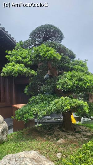 [P03] Galeria de Arhitectura Chineza din lemn gazduieste machete din lemn meticulos lucrate, care pun in evidenta detaliile si tehnicile complexe ale practicilor de constructie chinezesti antice. » foto by geani anto
 - 
<span class="allrVoted glyphicon glyphicon-heart hidden" id="av1521179"></span>
<a class="m-l-10 hidden" id="sv1521179" onclick="voting_Foto_DelVot(,1521179,8285)" role="button">șterge vot <span class="glyphicon glyphicon-remove"></span></a>
<a id="v91521179" class=" c-red"  onclick="voting_Foto_SetVot(1521179)" role="button"><span class="glyphicon glyphicon-heart-empty"></span> <b>LIKE</b> = Votează poza</a> <img class="hidden"  id="f1521179W9" src="/imagini/loader.gif" border="0" /><span class="AjErrMes hidden" id="e1521179ErM"></span>