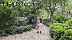 [P02] Am inceput ziua cu o plimbare relaxanta prin Parcul Hong Kong, cuibarit intre zgarie-norii Central si Admiralty. » foto by geani anto
 - 
<span class="allrVoted glyphicon glyphicon-heart hidden" id="av1522687"></span>
<a class="m-l-10 hidden" id="sv1522687" onclick="voting_Foto_DelVot(,1522687,8285)" role="button">șterge vot <span class="glyphicon glyphicon-remove"></span></a>
<a id="v91522687" class=" c-red"  onclick="voting_Foto_SetVot(1522687)" role="button"><span class="glyphicon glyphicon-heart-empty"></span> <b>LIKE</b> = Votează poza</a> <img class="hidden"  id="f1522687W9" src="/imagini/loader.gif" border="0" /><span class="AjErrMes hidden" id="e1522687ErM"></span>