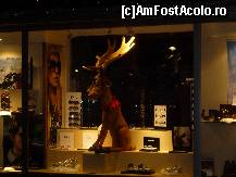 [P09] Vitrina Dior, impodobita de sarbatoare » foto by trigri
 - 
<span class="allrVoted glyphicon glyphicon-heart hidden" id="av223314"></span>
<a class="m-l-10 hidden" id="sv223314" onclick="voting_Foto_DelVot(,223314,8318)" role="button">șterge vot <span class="glyphicon glyphicon-remove"></span></a>
<a id="v9223314" class=" c-red"  onclick="voting_Foto_SetVot(223314)" role="button"><span class="glyphicon glyphicon-heart-empty"></span> <b>LIKE</b> = Votează poza</a> <img class="hidden"  id="f223314W9" src="/imagini/loader.gif" border="0" /><span class="AjErrMes hidden" id="e223314ErM"></span>