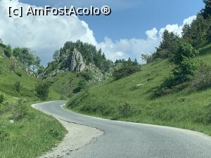 [P01] Pe drumul spre Dâmbovicioara-zona Șirnea » foto by AZE
 - 
<span class="allrVoted glyphicon glyphicon-heart hidden" id="av1369926"></span>
<a class="m-l-10 hidden" id="sv1369926" onclick="voting_Foto_DelVot(,1369926,8368)" role="button">șterge vot <span class="glyphicon glyphicon-remove"></span></a>
<a id="v91369926" class=" c-red"  onclick="voting_Foto_SetVot(1369926)" role="button"><span class="glyphicon glyphicon-heart-empty"></span> <b>LIKE</b> = Votează poza</a> <img class="hidden"  id="f1369926W9" src="/imagini/loader.gif" border="0" /><span class="AjErrMes hidden" id="e1369926ErM"></span>