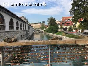 [P06] Podul Măcelarilor. In stânga se vede partea acoperită a Pieței Centrale » foto by Mika
 - 
<span class="allrVoted glyphicon glyphicon-heart hidden" id="av1077586"></span>
<a class="m-l-10 hidden" id="sv1077586" onclick="voting_Foto_DelVot(,1077586,8382)" role="button">șterge vot <span class="glyphicon glyphicon-remove"></span></a>
<a id="v91077586" class=" c-red"  onclick="voting_Foto_SetVot(1077586)" role="button"><span class="glyphicon glyphicon-heart-empty"></span> <b>LIKE</b> = Votează poza</a> <img class="hidden"  id="f1077586W9" src="/imagini/loader.gif" border="0" /><span class="AjErrMes hidden" id="e1077586ErM"></span>