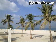 [P13] Plaja privata din Dubai » foto by eduardradupaul*
 - 
<span class="allrVoted glyphicon glyphicon-heart hidden" id="av181116"></span>
<a class="m-l-10 hidden" id="sv181116" onclick="voting_Foto_DelVot(,181116,8397)" role="button">șterge vot <span class="glyphicon glyphicon-remove"></span></a>
<a id="v9181116" class=" c-red"  onclick="voting_Foto_SetVot(181116)" role="button"><span class="glyphicon glyphicon-heart-empty"></span> <b>LIKE</b> = Votează poza</a> <img class="hidden"  id="f181116W9" src="/imagini/loader.gif" border="0" /><span class="AjErrMes hidden" id="e181116ErM"></span>