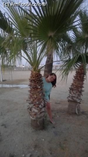 [P18] plaja Finikoudes, Larnaca...  » foto by magda1612
 - 
<span class="allrVoted glyphicon glyphicon-heart hidden" id="av768690"></span>
<a class="m-l-10 hidden" id="sv768690" onclick="voting_Foto_DelVot(,768690,8427)" role="button">șterge vot <span class="glyphicon glyphicon-remove"></span></a>
<a id="v9768690" class=" c-red"  onclick="voting_Foto_SetVot(768690)" role="button"><span class="glyphicon glyphicon-heart-empty"></span> <b>LIKE</b> = Votează poza</a> <img class="hidden"  id="f768690W9" src="/imagini/loader.gif" border="0" /><span class="AjErrMes hidden" id="e768690ErM"></span>