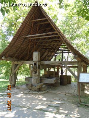 [P23] Teascul pentru struguri Meșendorf, Brașov » foto by Mitica49
 - 
<span class="allrVoted glyphicon glyphicon-heart hidden" id="av958568"></span>
<a class="m-l-10 hidden" id="sv958568" onclick="voting_Foto_DelVot(,958568,8488)" role="button">șterge vot <span class="glyphicon glyphicon-remove"></span></a>
<a id="v9958568" class=" c-red"  onclick="voting_Foto_SetVot(958568)" role="button"><span class="glyphicon glyphicon-heart-empty"></span> <b>LIKE</b> = Votează poza</a> <img class="hidden"  id="f958568W9" src="/imagini/loader.gif" border="0" /><span class="AjErrMes hidden" id="e958568ErM"></span>