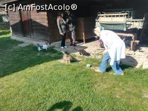 [P11] Mimi și pisicile. Două dintre ele erau locuitori ai curții iar una era in vizită. Mimi le știa pe toate.  » foto by Mika
 - 
<span class="allrVoted glyphicon glyphicon-heart hidden" id="av1064121"></span>
<a class="m-l-10 hidden" id="sv1064121" onclick="voting_Foto_DelVot(,1064121,8488)" role="button">șterge vot <span class="glyphicon glyphicon-remove"></span></a>
<a id="v91064121" class=" c-red"  onclick="voting_Foto_SetVot(1064121)" role="button"><span class="glyphicon glyphicon-heart-empty"></span> <b>LIKE</b> = Votează poza</a> <img class="hidden"  id="f1064121W9" src="/imagini/loader.gif" border="0" /><span class="AjErrMes hidden" id="e1064121ErM"></span>