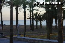 [P03] Torremolinos - Palmieri pe plaja Mării Mediterane » foto by Costi
 - 
<span class="allrVoted glyphicon glyphicon-heart hidden" id="av184671"></span>
<a class="m-l-10 hidden" id="sv184671" onclick="voting_Foto_DelVot(,184671,8504)" role="button">șterge vot <span class="glyphicon glyphicon-remove"></span></a>
<a id="v9184671" class=" c-red"  onclick="voting_Foto_SetVot(184671)" role="button"><span class="glyphicon glyphicon-heart-empty"></span> <b>LIKE</b> = Votează poza</a> <img class="hidden"  id="f184671W9" src="/imagini/loader.gif" border="0" /><span class="AjErrMes hidden" id="e184671ErM"></span>