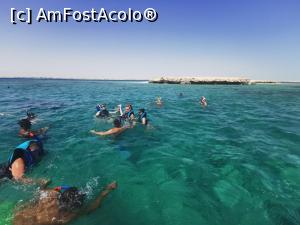 [P04] Snorkeling » foto by Larisa2021*
 - 
<span class="allrVoted glyphicon glyphicon-heart hidden" id="av1256782"></span>
<a class="m-l-10 hidden" id="sv1256782" onclick="voting_Foto_DelVot(,1256782,8517)" role="button">șterge vot <span class="glyphicon glyphicon-remove"></span></a>
<a id="v91256782" class=" c-red"  onclick="voting_Foto_SetVot(1256782)" role="button"><span class="glyphicon glyphicon-heart-empty"></span> <b>LIKE</b> = Votează poza</a> <img class="hidden"  id="f1256782W9" src="/imagini/loader.gif" border="0" /><span class="AjErrMes hidden" id="e1256782ErM"></span>