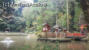 [P06] Iazul de la Chogakuji » foto by Tesaria
 - 
<span class="allrVoted glyphicon glyphicon-heart hidden" id="av956194"></span>
<a class="m-l-10 hidden" id="sv956194" onclick="voting_Foto_DelVot(,956194,8565)" role="button">șterge vot <span class="glyphicon glyphicon-remove"></span></a>
<a id="v9956194" class=" c-red"  onclick="voting_Foto_SetVot(956194)" role="button"><span class="glyphicon glyphicon-heart-empty"></span> <b>LIKE</b> = Votează poza</a> <img class="hidden"  id="f956194W9" src="/imagini/loader.gif" border="0" /><span class="AjErrMes hidden" id="e956194ErM"></span>