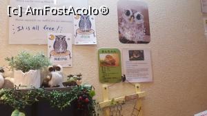 [P08] Baby owl » foto by Tesaria
 - 
<span class="allrVoted glyphicon glyphicon-heart hidden" id="av980672"></span>
<a class="m-l-10 hidden" id="sv980672" onclick="voting_Foto_DelVot(,980672,8565)" role="button">șterge vot <span class="glyphicon glyphicon-remove"></span></a>
<a id="v9980672" class=" c-red"  onclick="voting_Foto_SetVot(980672)" role="button"><span class="glyphicon glyphicon-heart-empty"></span> <b>LIKE</b> = Votează poza</a> <img class="hidden"  id="f980672W9" src="/imagini/loader.gif" border="0" /><span class="AjErrMes hidden" id="e980672ErM"></span>