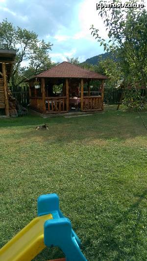 [P05]  -- <small>// FĂRĂ DESCRIERE</small> » foto by laviniaraichel
 - 
<span class="allrVoted glyphicon glyphicon-heart hidden" id="av654498"></span>
<a class="m-l-10 hidden" id="sv654498" onclick="voting_Foto_DelVot(,654498,8592)" role="button">șterge vot <span class="glyphicon glyphicon-remove"></span></a>
<a id="v9654498" class=" c-red"  onclick="voting_Foto_SetVot(654498)" role="button"><span class="glyphicon glyphicon-heart-empty"></span> <b>LIKE</b> = Votează poza</a> <img class="hidden"  id="f654498W9" src="/imagini/loader.gif" border="0" /><span class="AjErrMes hidden" id="e654498ErM"></span>