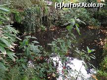 [P12] grota labirintica » foto by barbu minel
 - 
<span class="allrVoted glyphicon glyphicon-heart hidden" id="av191798"></span>
<a class="m-l-10 hidden" id="sv191798" onclick="voting_Foto_DelVot(,191798,8613)" role="button">șterge vot <span class="glyphicon glyphicon-remove"></span></a>
<a id="v9191798" class=" c-red"  onclick="voting_Foto_SetVot(191798)" role="button"><span class="glyphicon glyphicon-heart-empty"></span> <b>LIKE</b> = Votează poza</a> <img class="hidden"  id="f191798W9" src="/imagini/loader.gif" border="0" /><span class="AjErrMes hidden" id="e191798ErM"></span>