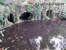 [P13] grota labirintica » foto by barbu minel
 - 
<span class="allrVoted glyphicon glyphicon-heart hidden" id="av191799"></span>
<a class="m-l-10 hidden" id="sv191799" onclick="voting_Foto_DelVot(,191799,8613)" role="button">șterge vot <span class="glyphicon glyphicon-remove"></span></a>
<a id="v9191799" class=" c-red"  onclick="voting_Foto_SetVot(191799)" role="button"><span class="glyphicon glyphicon-heart-empty"></span> <b>LIKE</b> = Votează poza</a> <img class="hidden"  id="f191799W9" src="/imagini/loader.gif" border="0" /><span class="AjErrMes hidden" id="e191799ErM"></span>