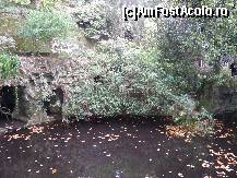 [P14] cercelus la grota labirint » foto by barbu minel
 - 
<span class="allrVoted glyphicon glyphicon-heart hidden" id="av191800"></span>
<a class="m-l-10 hidden" id="sv191800" onclick="voting_Foto_DelVot(,191800,8613)" role="button">șterge vot <span class="glyphicon glyphicon-remove"></span></a>
<a id="v9191800" class=" c-red"  onclick="voting_Foto_SetVot(191800)" role="button"><span class="glyphicon glyphicon-heart-empty"></span> <b>LIKE</b> = Votează poza</a> <img class="hidden"  id="f191800W9" src="/imagini/loader.gif" border="0" /><span class="AjErrMes hidden" id="e191800ErM"></span>