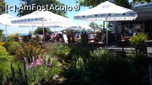 [P01] Flori, verdeata si marea in fundal » foto by FrancescaClara
 - 
<span class="allrVoted glyphicon glyphicon-heart hidden" id="av763467"></span>
<a class="m-l-10 hidden" id="sv763467" onclick="voting_Foto_DelVot(,763467,8635)" role="button">șterge vot <span class="glyphicon glyphicon-remove"></span></a>
<a id="v9763467" class=" c-red"  onclick="voting_Foto_SetVot(763467)" role="button"><span class="glyphicon glyphicon-heart-empty"></span> <b>LIKE</b> = Votează poza</a> <img class="hidden"  id="f763467W9" src="/imagini/loader.gif" border="0" /><span class="AjErrMes hidden" id="e763467ErM"></span>