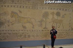 [P118] Muzeul de Mozaicuri Zeugma. Gaziantep.  » foto by TraianS
 - 
<span class="allrVoted glyphicon glyphicon-heart hidden" id="av615165"></span>
<a class="m-l-10 hidden" id="sv615165" onclick="voting_Foto_DelVot(,615165,8659)" role="button">șterge vot <span class="glyphicon glyphicon-remove"></span></a>
<a id="v9615165" class=" c-red"  onclick="voting_Foto_SetVot(615165)" role="button"><span class="glyphicon glyphicon-heart-empty"></span> <b>LIKE</b> = Votează poza</a> <img class="hidden"  id="f615165W9" src="/imagini/loader.gif" border="0" /><span class="AjErrMes hidden" id="e615165ErM"></span>