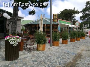 [P40] Mica localitate Troodos » foto by crismis
 - 
<span class="allrVoted glyphicon glyphicon-heart hidden" id="av999734"></span>
<a class="m-l-10 hidden" id="sv999734" onclick="voting_Foto_DelVot(,999734,8662)" role="button">șterge vot <span class="glyphicon glyphicon-remove"></span></a>
<a id="v9999734" class=" c-red"  onclick="voting_Foto_SetVot(999734)" role="button"><span class="glyphicon glyphicon-heart-empty"></span> <b>LIKE</b> = Votează poza</a> <img class="hidden"  id="f999734W9" src="/imagini/loader.gif" border="0" /><span class="AjErrMes hidden" id="e999734ErM"></span>