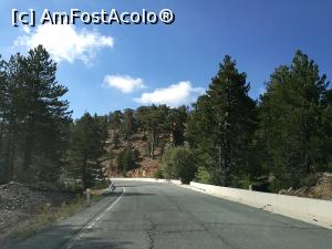 [P43] Între Troodos și Pedoulas » foto by crismis
 - 
<span class="allrVoted glyphicon glyphicon-heart hidden" id="av999737"></span>
<a class="m-l-10 hidden" id="sv999737" onclick="voting_Foto_DelVot(,999737,8662)" role="button">șterge vot <span class="glyphicon glyphicon-remove"></span></a>
<a id="v9999737" class=" c-red"  onclick="voting_Foto_SetVot(999737)" role="button"><span class="glyphicon glyphicon-heart-empty"></span> <b>LIKE</b> = Votează poza</a> <img class="hidden"  id="f999737W9" src="/imagini/loader.gif" border="0" /><span class="AjErrMes hidden" id="e999737ErM"></span>