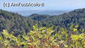 [P17] Munții Troodos văzuți din punctul belvedere, cu lacul sărat Akrotiri în fundal » foto by Carmen Ion
 - 
<span class="allrVoted glyphicon glyphicon-heart hidden" id="av1475042"></span>
<a class="m-l-10 hidden" id="sv1475042" onclick="voting_Foto_DelVot(,1475042,8662)" role="button">șterge vot <span class="glyphicon glyphicon-remove"></span></a>
<a id="v91475042" class=" c-red"  onclick="voting_Foto_SetVot(1475042)" role="button"><span class="glyphicon glyphicon-heart-empty"></span> <b>LIKE</b> = Votează poza</a> <img class="hidden"  id="f1475042W9" src="/imagini/loader.gif" border="0" /><span class="AjErrMes hidden" id="e1475042ErM"></span>