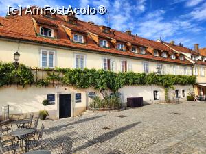 [P32] Cea mai veche viță-de-vie din lume! » foto by crismis
 - 
<span class="allrVoted glyphicon glyphicon-heart hidden" id="av1509397"></span>
<a class="m-l-10 hidden" id="sv1509397" onclick="voting_Foto_DelVot(,1509397,8677)" role="button">șterge vot <span class="glyphicon glyphicon-remove"></span></a>
<a id="v91509397" class=" c-red"  onclick="voting_Foto_SetVot(1509397)" role="button"><span class="glyphicon glyphicon-heart-empty"></span> <b>LIKE</b> = Votează poza</a> <img class="hidden"  id="f1509397W9" src="/imagini/loader.gif" border="0" /><span class="AjErrMes hidden" id="e1509397ErM"></span>