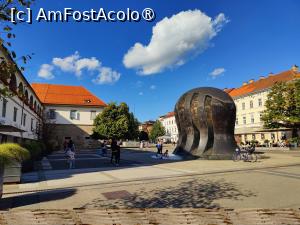 [P06] La pas prin Maribor » foto by crismis
 - 
<span class="allrVoted glyphicon glyphicon-heart hidden" id="av1509375"></span>
<a class="m-l-10 hidden" id="sv1509375" onclick="voting_Foto_DelVot(,1509375,8677)" role="button">șterge vot <span class="glyphicon glyphicon-remove"></span></a>
<a id="v91509375" class=" c-red"  onclick="voting_Foto_SetVot(1509375)" role="button"><span class="glyphicon glyphicon-heart-empty"></span> <b>LIKE</b> = Votează poza</a> <img class="hidden"  id="f1509375W9" src="/imagini/loader.gif" border="0" /><span class="AjErrMes hidden" id="e1509375ErM"></span>