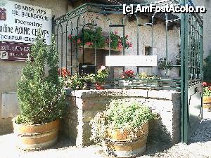 [P10] Intram intr-o 'cave' sau 'chais', adica pivnita de vinuri » foto by dorgo
 - 
<span class="allrVoted glyphicon glyphicon-heart hidden" id="av478753"></span>
<a class="m-l-10 hidden" id="sv478753" onclick="voting_Foto_DelVot(,478753,8751)" role="button">șterge vot <span class="glyphicon glyphicon-remove"></span></a>
<a id="v9478753" class=" c-red"  onclick="voting_Foto_SetVot(478753)" role="button"><span class="glyphicon glyphicon-heart-empty"></span> <b>LIKE</b> = Votează poza</a> <img class="hidden"  id="f478753W9" src="/imagini/loader.gif" border="0" /><span class="AjErrMes hidden" id="e478753ErM"></span>