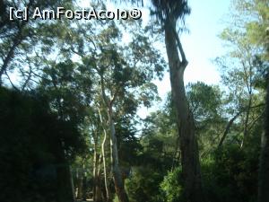 [P22] Copacii Arrabidei -pe traseu sunt arbori de plută decojiți, livezi de măslini.  » foto by mireille
 - 
<span class="allrVoted glyphicon glyphicon-heart hidden" id="av925789"></span>
<a class="m-l-10 hidden" id="sv925789" onclick="voting_Foto_DelVot(,925789,8769)" role="button">șterge vot <span class="glyphicon glyphicon-remove"></span></a>
<a id="v9925789" class=" c-red"  onclick="voting_Foto_SetVot(925789)" role="button"><span class="glyphicon glyphicon-heart-empty"></span> <b>LIKE</b> = Votează poza</a> <img class="hidden"  id="f925789W9" src="/imagini/loader.gif" border="0" /><span class="AjErrMes hidden" id="e925789ErM"></span>