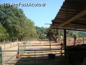 [P34] Ferma privata Quinta de Alcube -detaliu » foto by mireille
 - 
<span class="allrVoted glyphicon glyphicon-heart hidden" id="av925802"></span>
<a class="m-l-10 hidden" id="sv925802" onclick="voting_Foto_DelVot(,925802,8769)" role="button">șterge vot <span class="glyphicon glyphicon-remove"></span></a>
<a id="v9925802" class=" c-red"  onclick="voting_Foto_SetVot(925802)" role="button"><span class="glyphicon glyphicon-heart-empty"></span> <b>LIKE</b> = Votează poza</a> <img class="hidden"  id="f925802W9" src="/imagini/loader.gif" border="0" /><span class="AjErrMes hidden" id="e925802ErM"></span>
