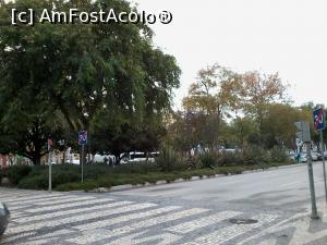 [P64] Av.Luisa Todi-spatii verzi pe mijlocul bulevardului » foto by ile57b
 - 
<span class="allrVoted glyphicon glyphicon-heart hidden" id="av1294970"></span>
<a class="m-l-10 hidden" id="sv1294970" onclick="voting_Foto_DelVot(,1294970,8769)" role="button">șterge vot <span class="glyphicon glyphicon-remove"></span></a>
<a id="v91294970" class=" c-red"  onclick="voting_Foto_SetVot(1294970)" role="button"><span class="glyphicon glyphicon-heart-empty"></span> <b>LIKE</b> = Votează poza</a> <img class="hidden"  id="f1294970W9" src="/imagini/loader.gif" border="0" /><span class="AjErrMes hidden" id="e1294970ErM"></span>