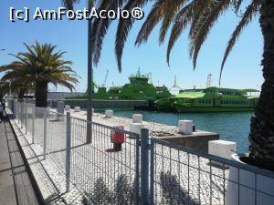 [P04] In portul din Setubal » foto by Mika
 - 
<span class="allrVoted glyphicon glyphicon-heart hidden" id="av1153700"></span>
<a class="m-l-10 hidden" id="sv1153700" onclick="voting_Foto_DelVot(,1153700,8769)" role="button">șterge vot <span class="glyphicon glyphicon-remove"></span></a>
<a id="v91153700" class=" c-red"  onclick="voting_Foto_SetVot(1153700)" role="button"><span class="glyphicon glyphicon-heart-empty"></span> <b>LIKE</b> = Votează poza</a> <img class="hidden"  id="f1153700W9" src="/imagini/loader.gif" border="0" /><span class="AjErrMes hidden" id="e1153700ErM"></span>