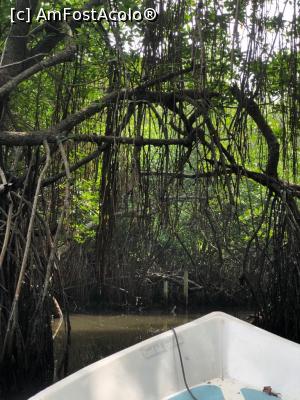 [P09] River Safari Bentota » foto by floredana
 - 
<span class="allrVoted glyphicon glyphicon-heart hidden" id="av1046414"></span>
<a class="m-l-10 hidden" id="sv1046414" onclick="voting_Foto_DelVot(,1046414,8783)" role="button">șterge vot <span class="glyphicon glyphicon-remove"></span></a>
<a id="v91046414" class=" c-red"  onclick="voting_Foto_SetVot(1046414)" role="button"><span class="glyphicon glyphicon-heart-empty"></span> <b>LIKE</b> = Votează poza</a> <img class="hidden"  id="f1046414W9" src="/imagini/loader.gif" border="0" /><span class="AjErrMes hidden" id="e1046414ErM"></span>