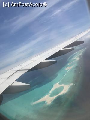 [P02] Maldive un vis frumos » foto by robert
 - 
<span class="allrVoted glyphicon glyphicon-heart hidden" id="av897336"></span>
<a class="m-l-10 hidden" id="sv897336" onclick="voting_Foto_DelVot(,897336,8783)" role="button">șterge vot <span class="glyphicon glyphicon-remove"></span></a>
<a id="v9897336" class=" c-red"  onclick="voting_Foto_SetVot(897336)" role="button"><span class="glyphicon glyphicon-heart-empty"></span> <b>LIKE</b> = Votează poza</a> <img class="hidden"  id="f897336W9" src="/imagini/loader.gif" border="0" /><span class="AjErrMes hidden" id="e897336ErM"></span>