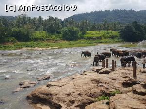 [P07] aici am asistat la îmbăierea micuților » foto by robert
 - 
<span class="allrVoted glyphicon glyphicon-heart hidden" id="av898685"></span>
<a class="m-l-10 hidden" id="sv898685" onclick="voting_Foto_DelVot(,898685,8783)" role="button">șterge vot <span class="glyphicon glyphicon-remove"></span></a>
<a id="v9898685" class=" c-red"  onclick="voting_Foto_SetVot(898685)" role="button"><span class="glyphicon glyphicon-heart-empty"></span> <b>LIKE</b> = Votează poza</a> <img class="hidden"  id="f898685W9" src="/imagini/loader.gif" border="0" /><span class="AjErrMes hidden" id="e898685ErM"></span>