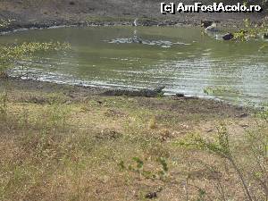 [P17] Yala National Park » foto by nela b
 - 
<span class="allrVoted glyphicon glyphicon-heart hidden" id="av525673"></span>
<a class="m-l-10 hidden" id="sv525673" onclick="voting_Foto_DelVot(,525673,8783)" role="button">șterge vot <span class="glyphicon glyphicon-remove"></span></a>
<a id="v9525673" class=" c-red"  onclick="voting_Foto_SetVot(525673)" role="button"><span class="glyphicon glyphicon-heart-empty"></span> <b>LIKE</b> = Votează poza</a> <img class="hidden"  id="f525673W9" src="/imagini/loader.gif" border="0" /><span class="AjErrMes hidden" id="e525673ErM"></span>