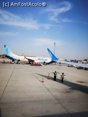 [P01] Zborul cu flydubai » foto by cata2106
 - 
<span class="allrVoted glyphicon glyphicon-heart hidden" id="av1284102"></span>
<a class="m-l-10 hidden" id="sv1284102" onclick="voting_Foto_DelVot(,1284102,8783)" role="button">șterge vot <span class="glyphicon glyphicon-remove"></span></a>
<a id="v91284102" class=" c-red"  onclick="voting_Foto_SetVot(1284102)" role="button"><span class="glyphicon glyphicon-heart-empty"></span> <b>LIKE</b> = Votează poza</a> <img class="hidden"  id="f1284102W9" src="/imagini/loader.gif" border="0" /><span class="AjErrMes hidden" id="e1284102ErM"></span>