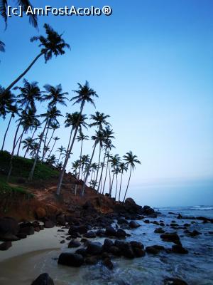 [P21] Coconut Tree Hill » foto by cata2106
 - 
<span class="allrVoted glyphicon glyphicon-heart hidden" id="av1286541"></span>
<a class="m-l-10 hidden" id="sv1286541" onclick="voting_Foto_DelVot(,1286541,8783)" role="button">șterge vot <span class="glyphicon glyphicon-remove"></span></a>
<a id="v91286541" class=" c-red"  onclick="voting_Foto_SetVot(1286541)" role="button"><span class="glyphicon glyphicon-heart-empty"></span> <b>LIKE</b> = Votează poza</a> <img class="hidden"  id="f1286541W9" src="/imagini/loader.gif" border="0" /><span class="AjErrMes hidden" id="e1286541ErM"></span>