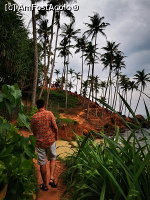 [P70] Coconut Tree Hill » foto by cata2106
 - 
<span class="allrVoted glyphicon glyphicon-heart hidden" id="av1286590"></span>
<a class="m-l-10 hidden" id="sv1286590" onclick="voting_Foto_DelVot(,1286590,8783)" role="button">șterge vot <span class="glyphicon glyphicon-remove"></span></a>
<a id="v91286590" class=" c-red"  onclick="voting_Foto_SetVot(1286590)" role="button"><span class="glyphicon glyphicon-heart-empty"></span> <b>LIKE</b> = Votează poza</a> <img class="hidden"  id="f1286590W9" src="/imagini/loader.gif" border="0" /><span class="AjErrMes hidden" id="e1286590ErM"></span>