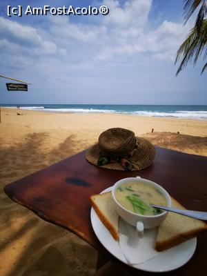 [P98] Tangalle Beach » foto by cata2106
 - 
<span class="allrVoted glyphicon glyphicon-heart hidden" id="av1286618"></span>
<a class="m-l-10 hidden" id="sv1286618" onclick="voting_Foto_DelVot(,1286618,8783)" role="button">șterge vot <span class="glyphicon glyphicon-remove"></span></a>
<a id="v91286618" class=" c-red"  onclick="voting_Foto_SetVot(1286618)" role="button"><span class="glyphicon glyphicon-heart-empty"></span> <b>LIKE</b> = Votează poza</a> <img class="hidden"  id="f1286618W9" src="/imagini/loader.gif" border="0" /><span class="AjErrMes hidden" id="e1286618ErM"></span>